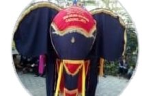 Kesenian  Gajah-Gajahan Ponorogo, Unik Dengan Patung Gajah Dan Gamelan Kompang  Klasik